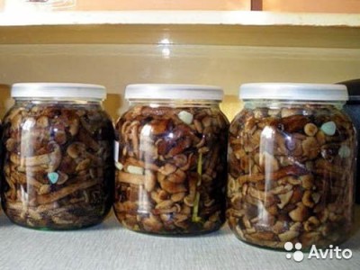  Грибочки (подберезовики и опята) продам
