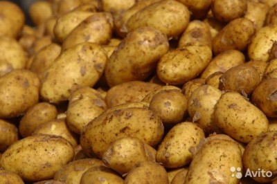  Продам картофель