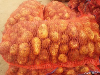  Продам Картофель фелаксь долго храниться