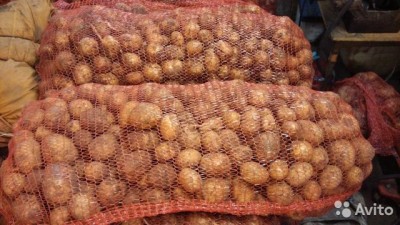  Картофель Адретта