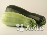 Кабачок домашний Экопродукт