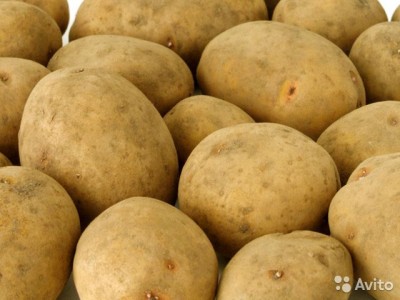  Картофель