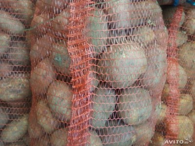  Продам Картофель-едовой домашний Большемуртинский
