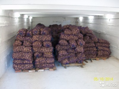  Картофель
