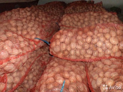  Отличный деревенский картофель оптом и в розницу