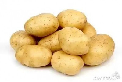  Картофель