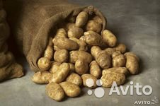  Продаётся картофель