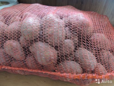  Продам картофель