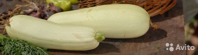  Домашний картофель, морковь, свекла, кабачки, капу