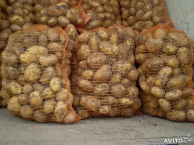  Картофель