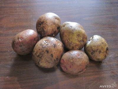  Картофель деревенский из экологически чистого р-на