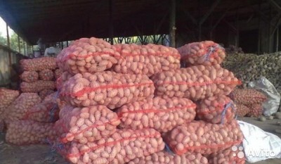  Картофель разара, коротоп доставм на дом