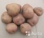  Продается средний картофель