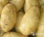  Картофель фасованный в сетках (желт.)