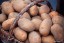  Продам картофель