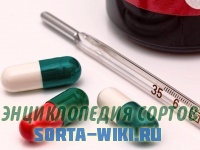 Как отличить грипп от простуды и ОРВИ. Советы специалистов